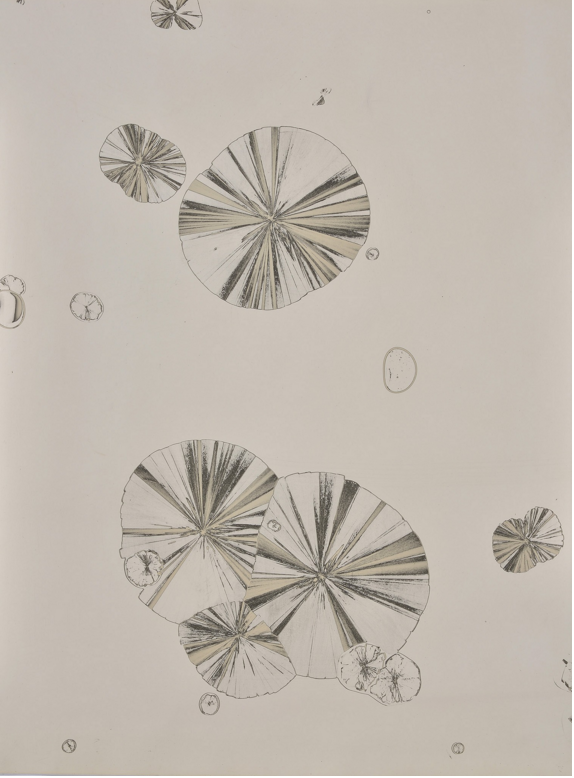 Carousel Image number 1